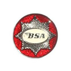 BSA Pin
