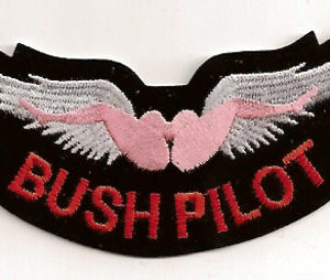 Bush Pilot