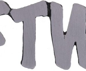 FTW Pin