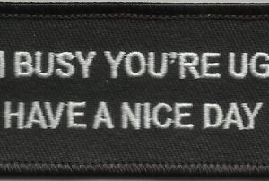 I'm Busy Your Ugly Have A Nice Day