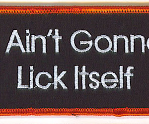 It Aint Gonna Lick Itself