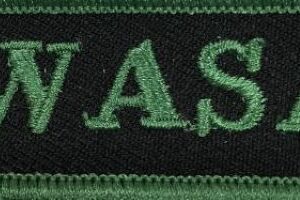 Kawasaki
