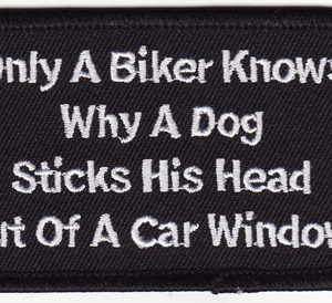 Only A Biker Knows Why a Dog Sticks His Head Out Of A Car Window