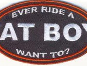 Ever Ride A FAT BOY Want To?