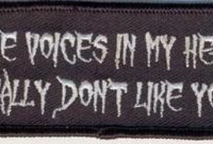The Voices In My Head Really Don't Like You